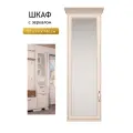 Шкаф для одежды с зеркалом в прихожую 52х24х142 см Шкаф распашной с зеркалом
