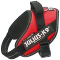 Шлейка для собак Julius-K9 IDC Powerharness Mini-Mini красный 4 - 7 кг 40 – 53 см (1 шт)