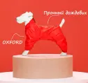 Дождевик-комбинезон для бассета суки, повышенной прочности, цвет красный