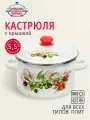 Кастрюля эмалированная сталь, 5.5 л, с крышкой, крышка сталь, Сибирские товары, Оливки и черри, 3MD221P, индукция