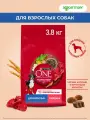 Сухой корм Purina One корм для взрослых собак средних и крупных пород Говядина и рис, 3,8 кг.