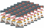 ROYAL CANIN HAIR & SKIN CARE для взрослых кошек для здоровья кожи и шерсти в соусе пауч 85 гр 85 гр х 28 шт