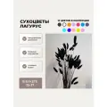 Сухоцвет Лагурус черный для декора, букет Зайцехвост (35 штук)