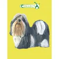 Фигурка животного Collecta, Собака Ши-тцу
