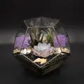 Флорариум Succulenteria Лавандовые сны М, с суккулентами, настольный