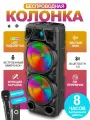 Портативная колонка 8210, 40W, с микрофоном, FM-радио, черная