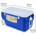 Арктика Изотермический контейнер Арктика 2000-80 (синий, 80л)