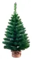 Настольная ель, высота 0,5 метра Боярская