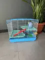 Клетка для грызунов 45.5х28.5х37 см, три этажа, дверь, люк, ручка, набор аксессуаров, голубой