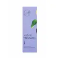 Диффузор ароматический для дома с палочками Summer Yuzu mandarin 60мл.