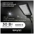 Светодиодный консольный светильник с КСС Д / Уличный фонарь с холодным цветом свечения 6500K / 9600Лм / 120Вт / 230В / IP65 / черный, 29-09