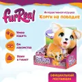 Фурриал Френдс. Интерактивная мягкая игрушка Корги на поводке 22 см. FurReal Friends