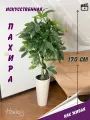 Искусственное дерево пахира