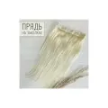 Натуральные волосы для наращивания на заколках однопрядью 50см 100г - пепельный блонд #60