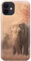 Силиконовый чехол на Apple iPhone 12 / 12 Pro / Эпл Айфон 12 / 12 Про с рисунком Закатный песочный слон