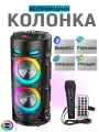 Портативная Bluetooth колонка STE4239, с караоке, светомузыка, акустика, USB, SD, AUX