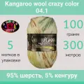 Пряжа Color City Kangaroo wool crazy color 04.1 (100г/300м, упаковка 5 мотков)