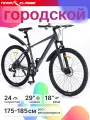 Велосипед Team Klasse MB-4-C городской, 24 скоростей, диаметр колес 29, рама 18, серый