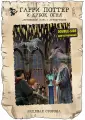 Двухсторонний пазл Гарри Поттер и Кубок огня, 500 деталей