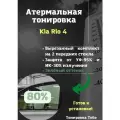 Термо тонир Kia Rio 4 80% green