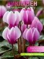 Цикламен Косский - садовый гибрид (клубень для посадки 1 шт) / для дачи, сада, дома и балкон