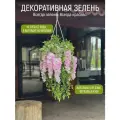 Подвесная зелень в кашпо глициния