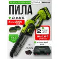 Мощная аккумуляторная цепная пила Prowork, 750 Вт, 6 дюймов, LiIon, 2 аккумулятора, 6Ач, кейс, защита рук