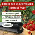 Пленка для мульчирования Светлица Грунт с перфорацией 60мкм, 1,3х180 м, черная