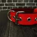 Ошейник для собак средних и крупных пород. Ширина 4.5 см. Сварная фурнитура. Обхват 30-42 см.