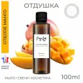 Отдушка косметическая Спелое манго, пр. Франция, 100 мл Feya.Lab для косметики, высокая концентрация