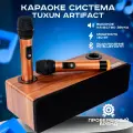 Караоке система для дома Tuxun Artifact 2.1 PRO 130 Вт с двумя микрофонами