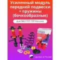 Передние стойки 2шт с пружинами ВАЗ 1119 Калина (с крепежом)