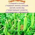 Горох сортовой 50 гр семена Амброзия/ салатный, медонос, сидерат для почвы