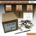 Саморезы для скрытого крепежа Trusty CAMN 4.2х38 600 шт