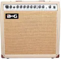 Комбоусилитель гитарный для акустической гитары BG WA30 с микрофонным входом, блоком эффектов, 10 дюймовый динамик.
