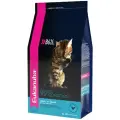 Eukanuba Для пожилых кошек от 7 лет c курицей (Adult Top Condition 7+) 10144124 0.400 кг 24944 (2 шт)