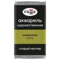 ГАММА Акварель художественная Старый мастер, кювета., оливковый