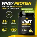 Протеин сывороточный PRIMEKRAFT Whey Protein, Фисташковое мороженое 450 г / 15 порций