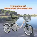 Трехколесный велосипед взрослый седло со спинкой, 20, серебро
