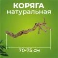 Натуральная коряга для террариума, декорация и украшение декор для рептилий, ящериц, длина 70-75 см, Универсальное украшение для террариумов экзотических животных.
