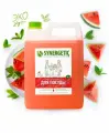 Средство для мытья посуды SYNERGETIC арбуз канистра, 5 л 4623722258304 103501