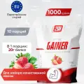 Гейнер для набора мышечной массы, мыщц, похудения 2SN Gainer1000g (Клубника)