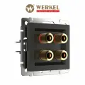 Встраиваемая акустическая розетка Werkel W1185008, цвет черный матовый, IP20, 4 гнезда