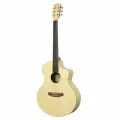 DEVISER LS-H10 N - Гитара акустическая 41, HPL, чехол в комплекте