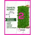 Мох стабилизированный, самоклеящаяся панель для стен 25х50 комплект из 2 шт. , декор для дома, декорация настенная