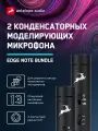 Пара микрофонов Antelope Audio Edge Note Bundle, конденсаторные
