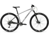 Горный велосипед Format 1212 29, год 2024, цвет Серебристый-Черный, ростовка 18.5