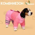 Комбинезон для собак «Горошек», размер 14, ДС 27, ОГ 38, ОШ 30 см, розовый