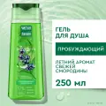 Чистая Линия Гель для душа Пробуждающий, 250 мл, 3 шт