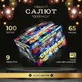 Салют фейерверк Серенада slk fireworks C019, 100 залпов